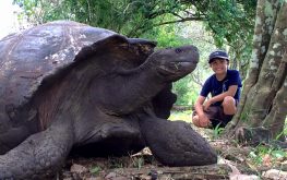 Galapagos accommodations