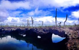 Isabela Galapagos tour 