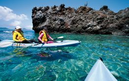 Galapagos Bed and Breakfast