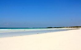 Galapagos beach