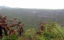 Galapagos tours